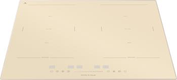 ПЛИТА ПІД ЗАБУДОВУ GUNTER&HAUER I 500 IVR зображення 3